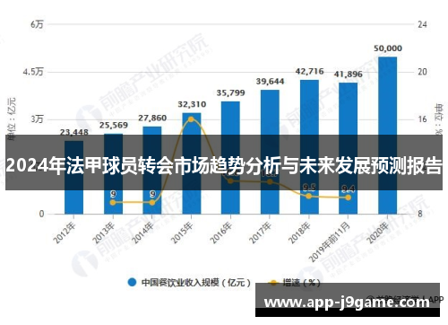 2024年法甲球员转会市场趋势分析与未来发展预测报告