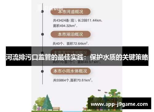 河流排污口监管的最佳实践：保护水质的关键策略